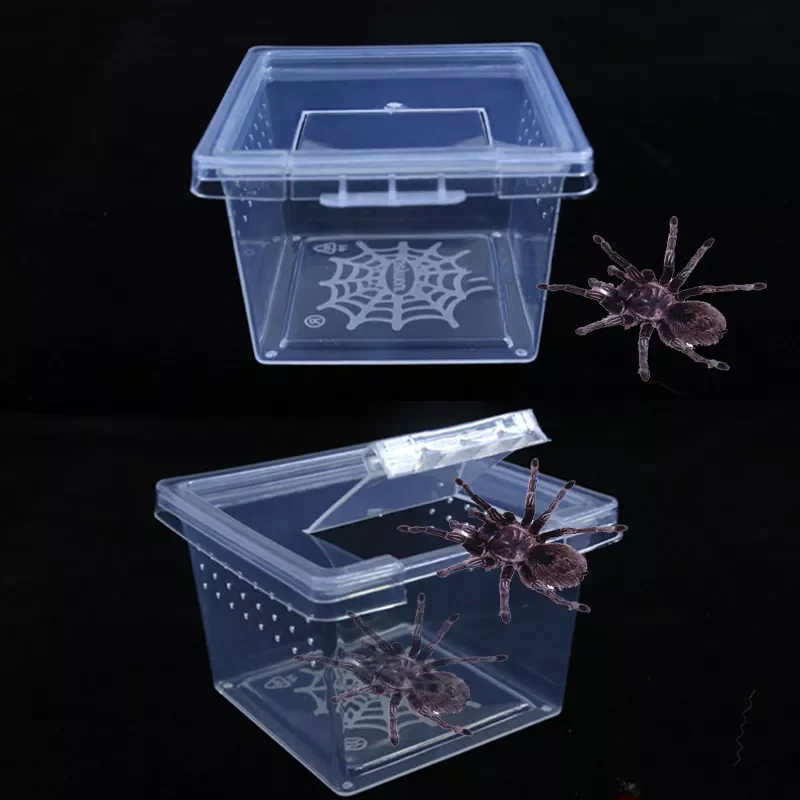 

1pcs Feeding Acrylic Box Reptile Cage Hatching Container Rearing Tank for Lizards Terrarium Tortoise Spider Beetle Insect House