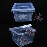 1pcs feeding acrylic box reptile cage hatching container rearing tank for lizards terrarium tortoise spider beetle insect house
