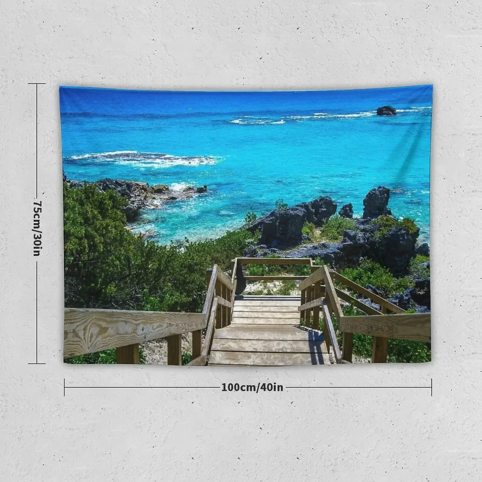 Церковный Бермудский риф для подводного плавания пляжный фотографический