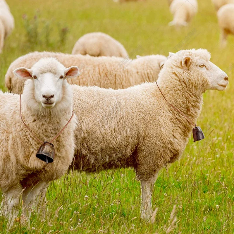 16 шт. медные колокольчики для выпасения коровы лошади овец маленькие Латунные