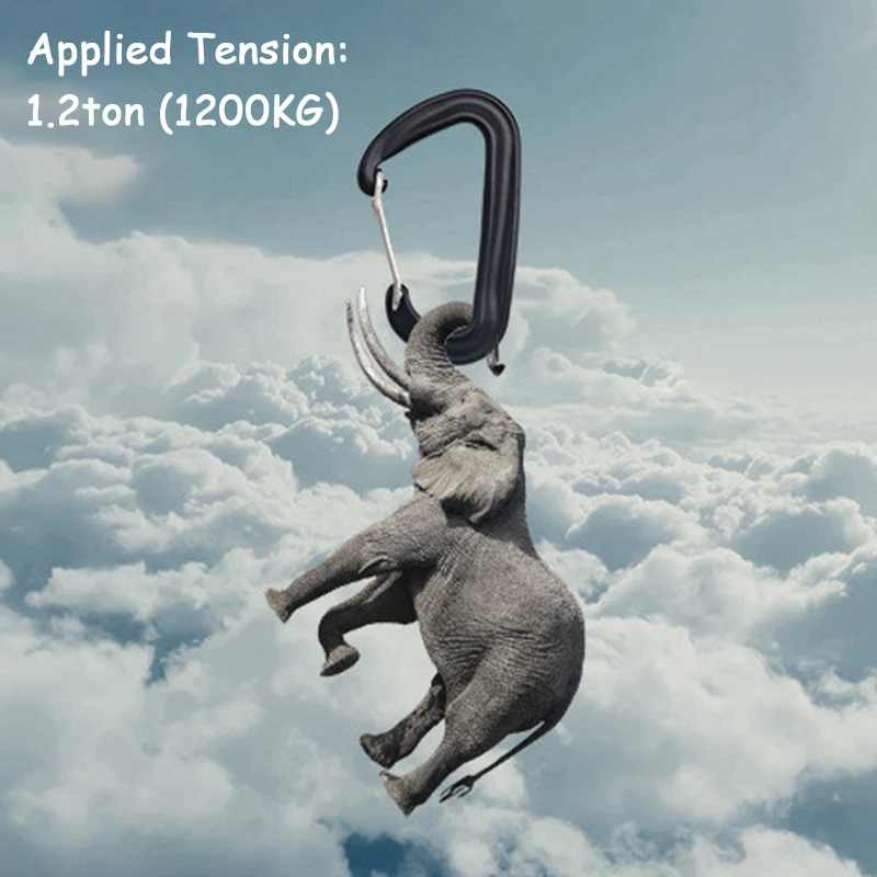 

Профессиональный аксессуар для скалолазания