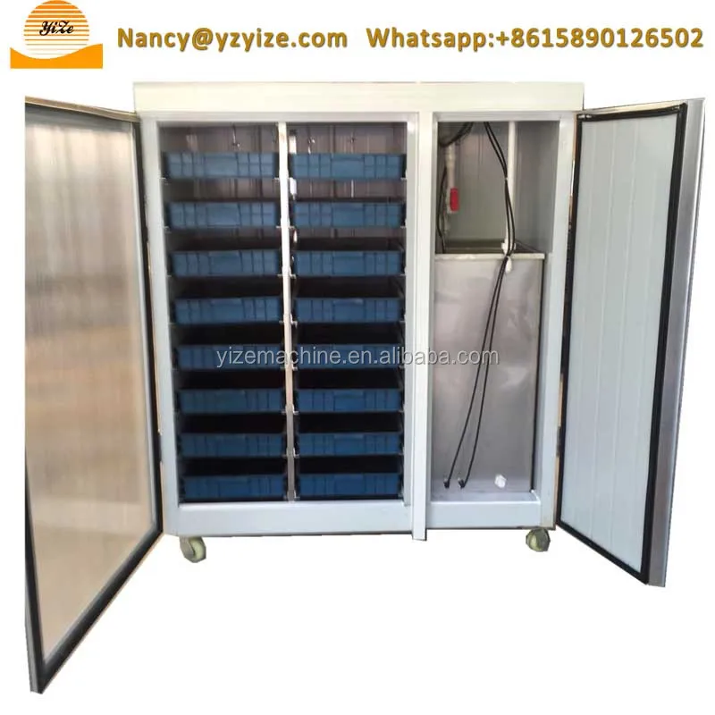 Гидропонная машина для ростков зеленого мондера фасоли мунг