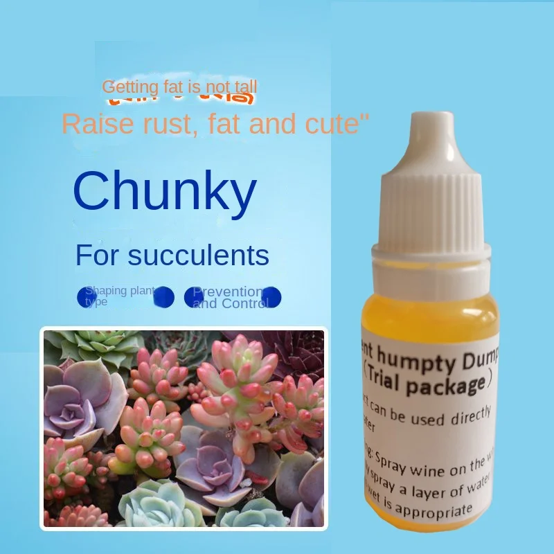 

Succulent plant prevention and control bare length shaping dwarf fat vegetarian meat short stout fat and color nutrient solution