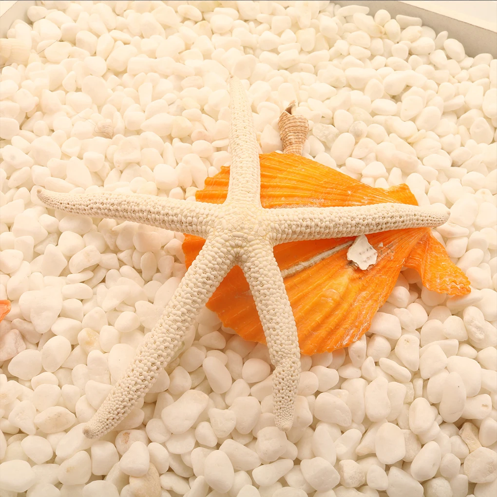 

Natural 5-12cm/10-12cm White Finger Starfish Sea Stylish Home Hair Wedding Decor and Craft Project