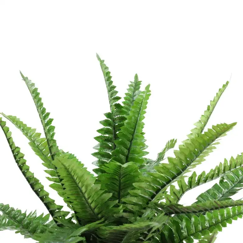 

Potted Artificial Green Boston Fern Plant Spring Decoration