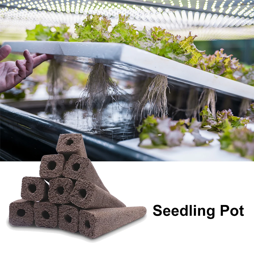 50pcs Seedling Pot Biodegradable Flower Hydroponic Supplement Growing Fruit Indoor Outdoor Garden Planting Germination Sponge