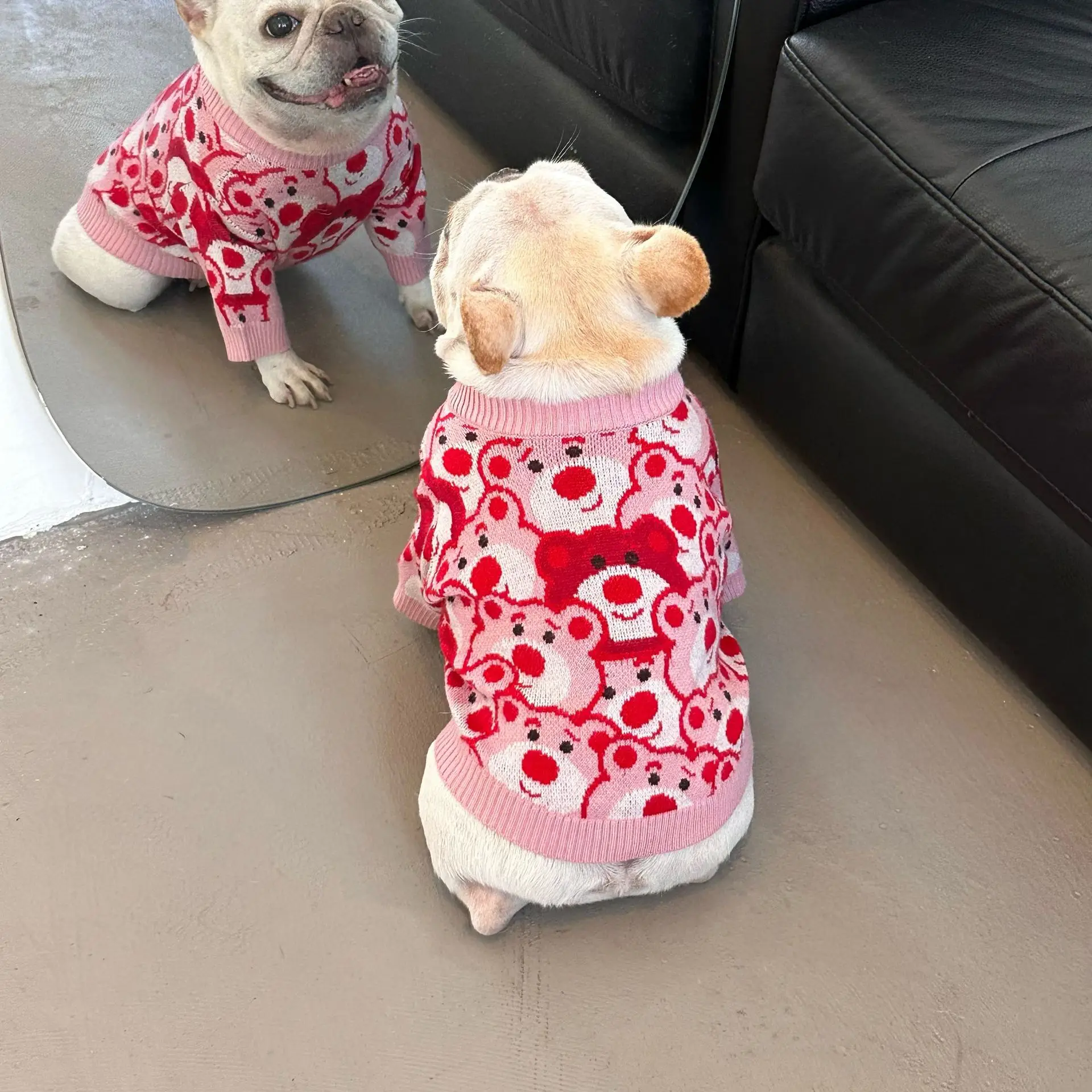 

French bulldog clothes Teddy Pug Corgi Dog Hoodie Fall Winter Puppy pet Apparel Designer Dog Clother for small Dogs Outfits