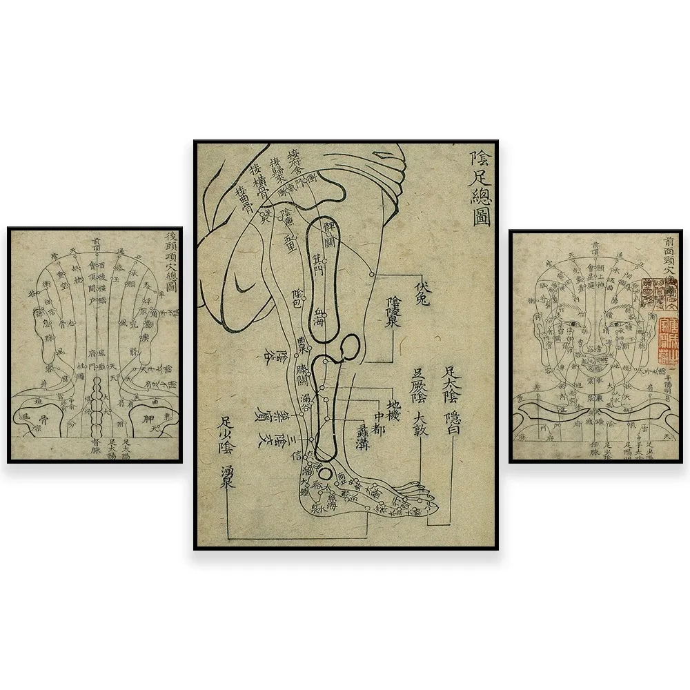 Азиатская диаграмма акупунктуры копия печатный фон декоративный холст плакат