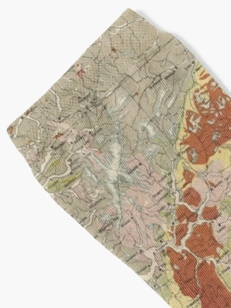 Винтажные геологические карты Норвегии (1878) мужские женские носки