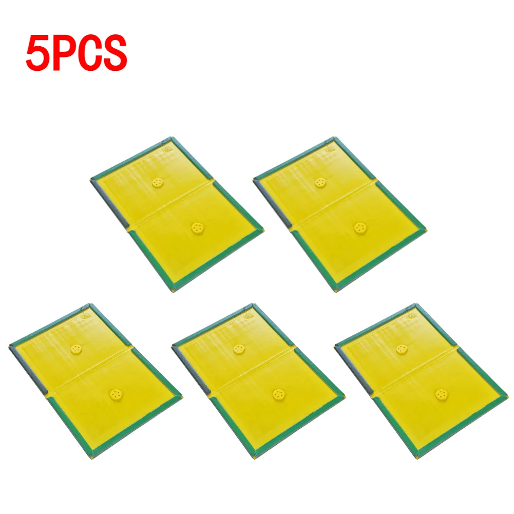 

Клейкие ловушки для мышей и насекомых