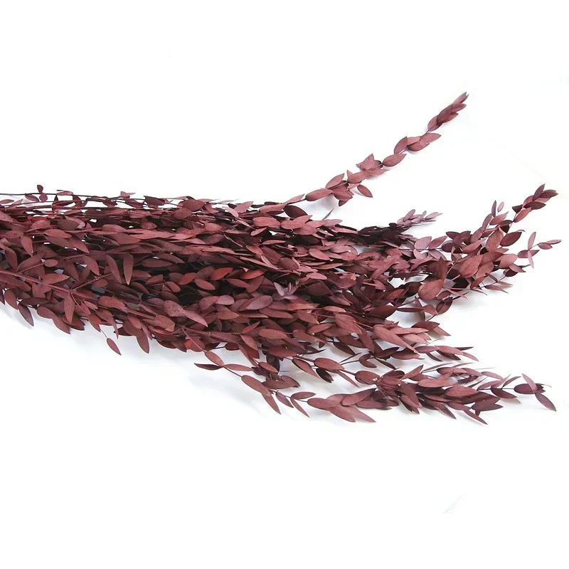 Букет из настоящих листьев эвкалипта YN HI FLOWER ENJOY YOUR LIFE