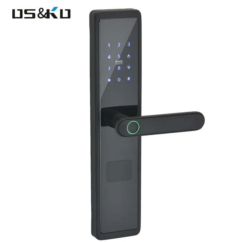

Electronic Smart Door Lock Biometric Fingerprint Smart Card Password Alexa Digital Gate Lock for Hotel House Home Office