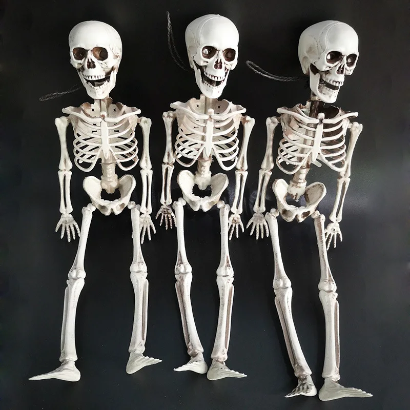 

40CM Halloween Skeleton - Halloween Full Body Skeleton Bones for Halloween Decoration
