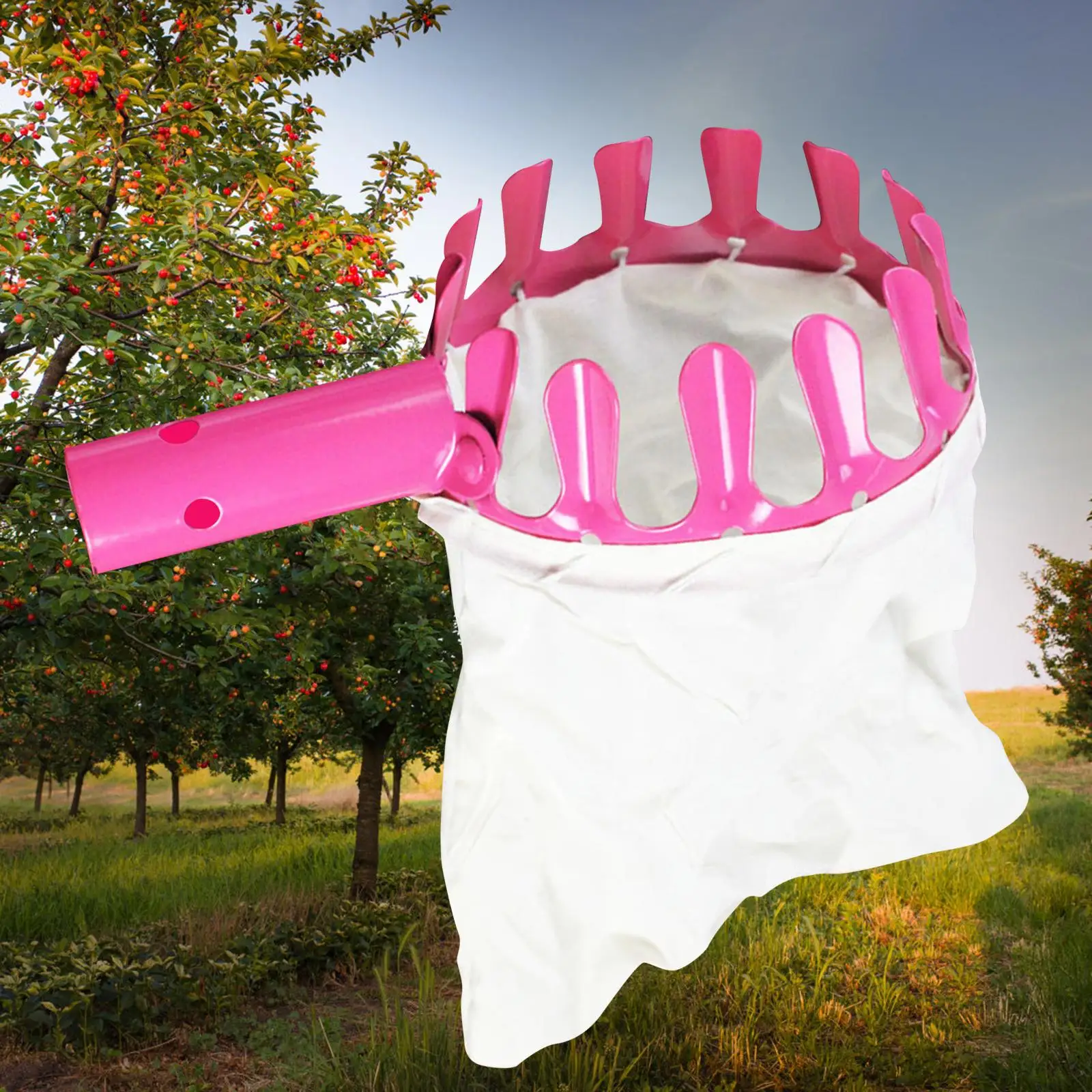 

Fruit Picking Tools Fruits Catcher Picking Gardening Supplies