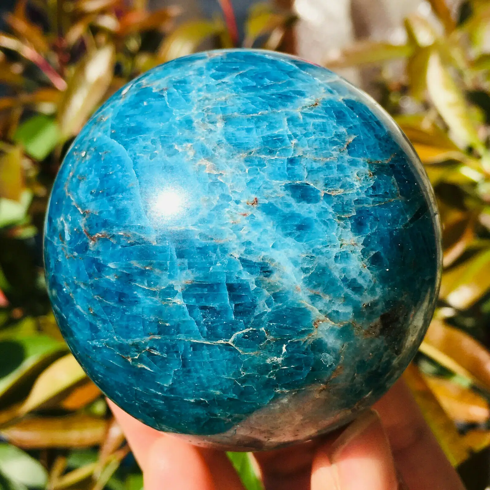 

Natural Blue Apatite Ball Sphere Quartz Crystal Mineral Healing For Home Decoration Gift
