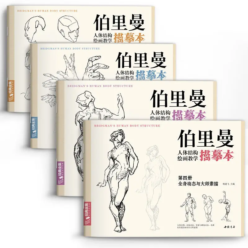 Character Sketch Drawing Structure Tutorial Learning Book Drawing Body Structure Teaching Tracing Book