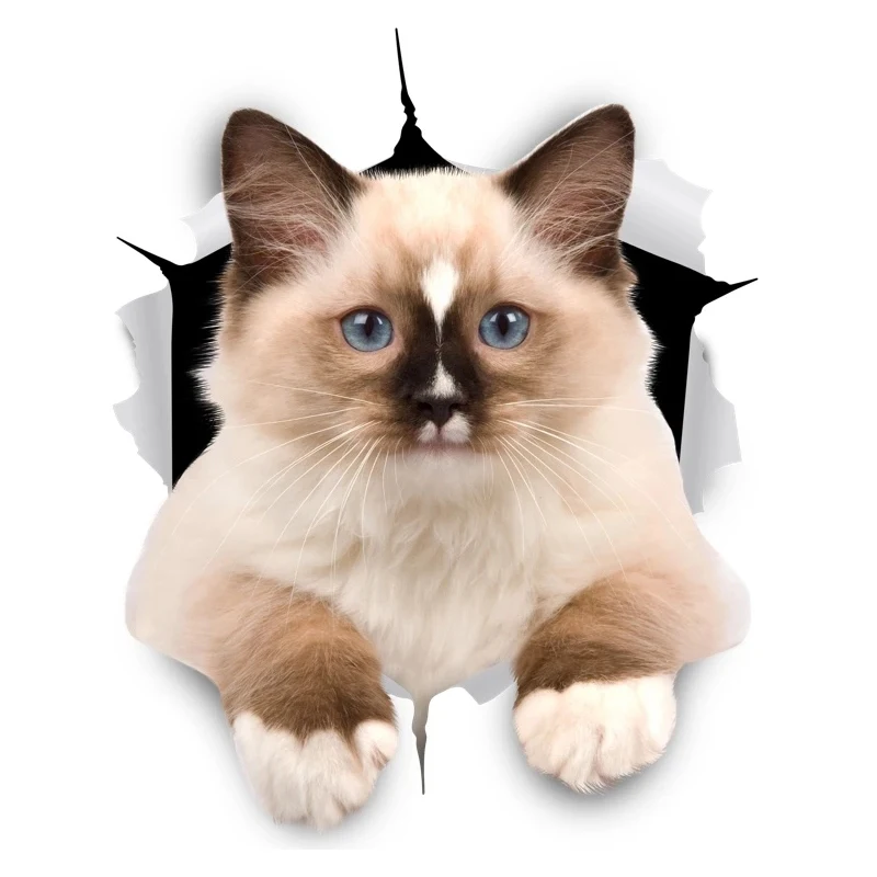 

32728 # BROWN RAGDOLL CAT 13 cm/17 cm Self-adhesive Decal Car Sticker Waterproof Auto Decors on Bumper Rear Window Laptop
