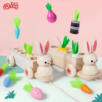 wooden montessori toys for kids educational rabbit fruit veg drag car early learning preschool match game cognitive toy for kid