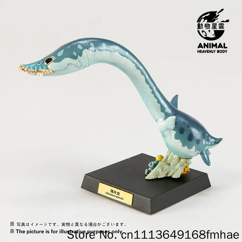 Фото Модель бюста мозазавра Animal Heavenly Body, серия «Палеонтология доисторических морских рептилий», пятая серия, для взрослых коллекционеров, подарок №3
