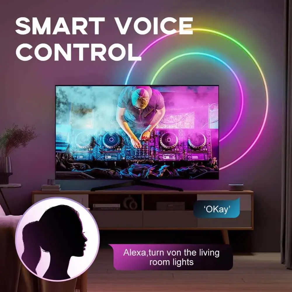 WiFi APP Control Dream Color Led Neon Strip Lights Alexa Voice 12V Гибкий тв-компьютер Подсветка