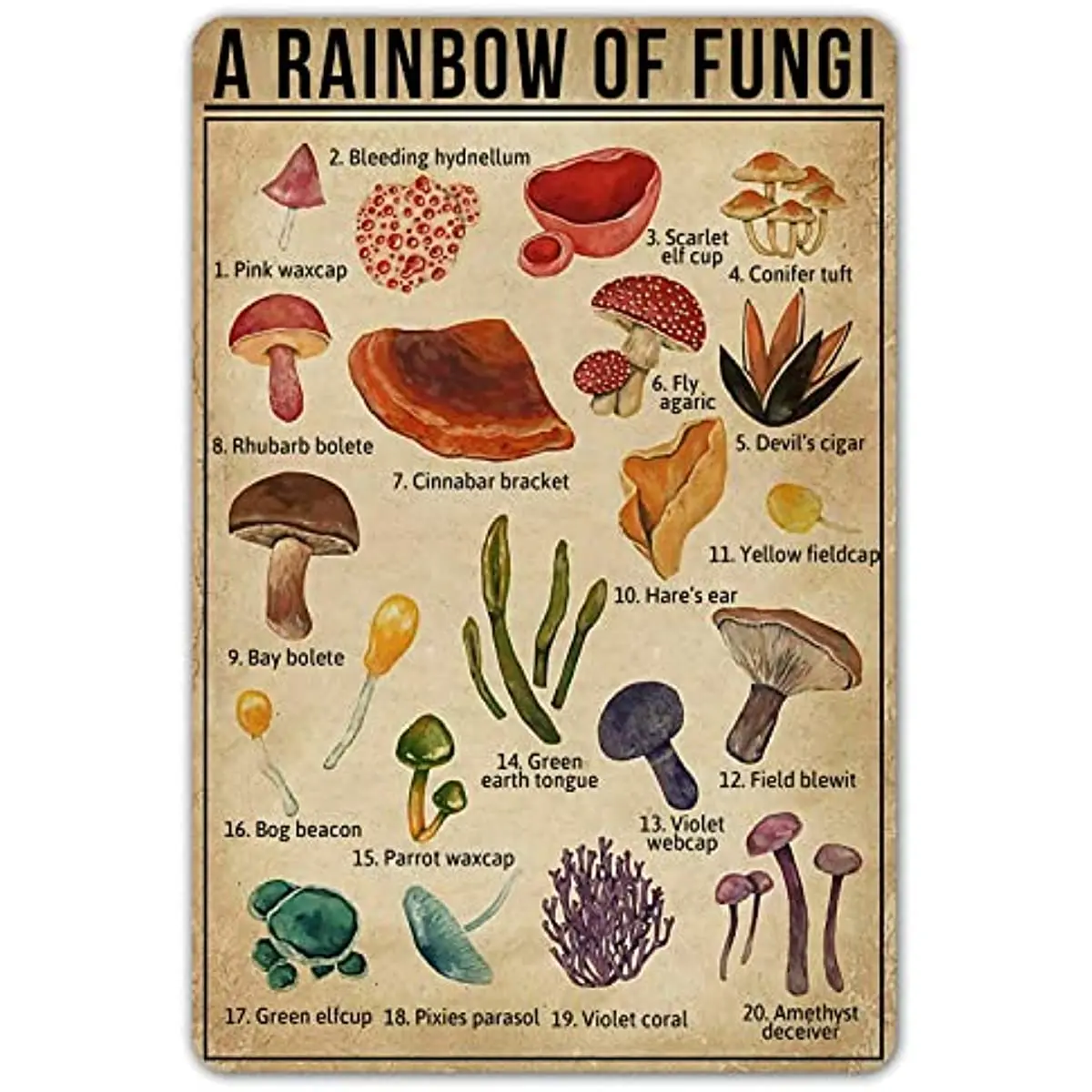 

Радужный гриб, винтажный жестяной знак, знания о грибке, металлический знак, природа, любовь, настенный художественный плакат, украшение