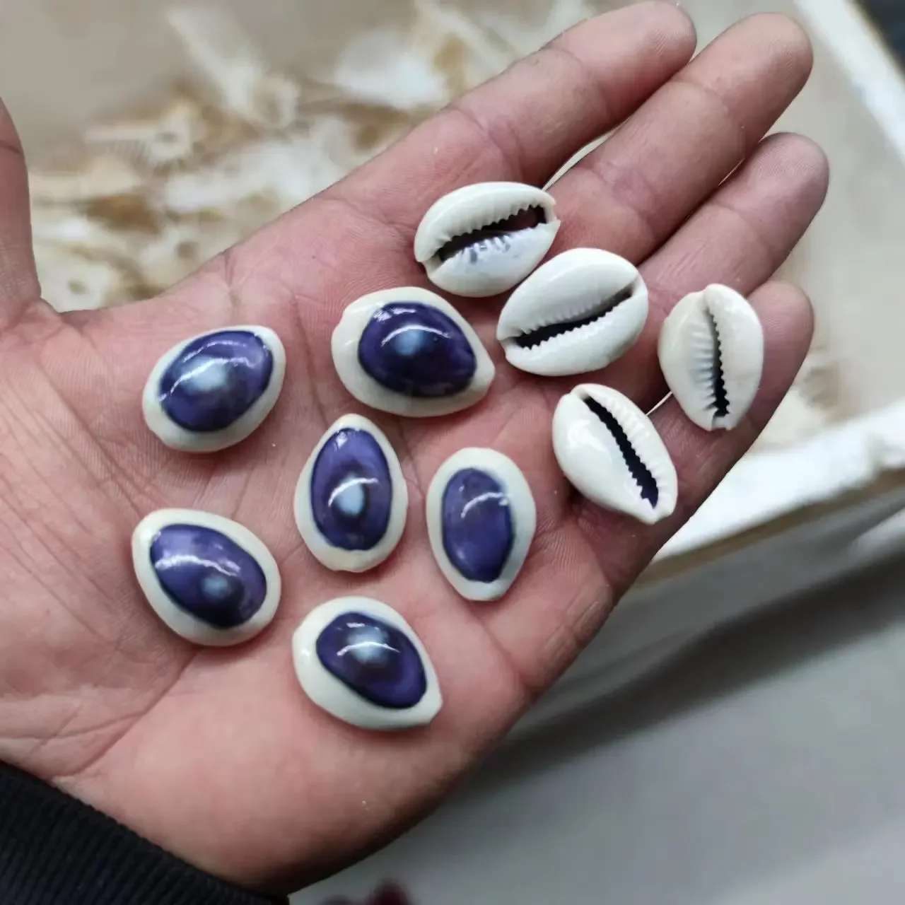 

Натуральные голубоглазые ракушки 2-2,5 см, 20 шт.