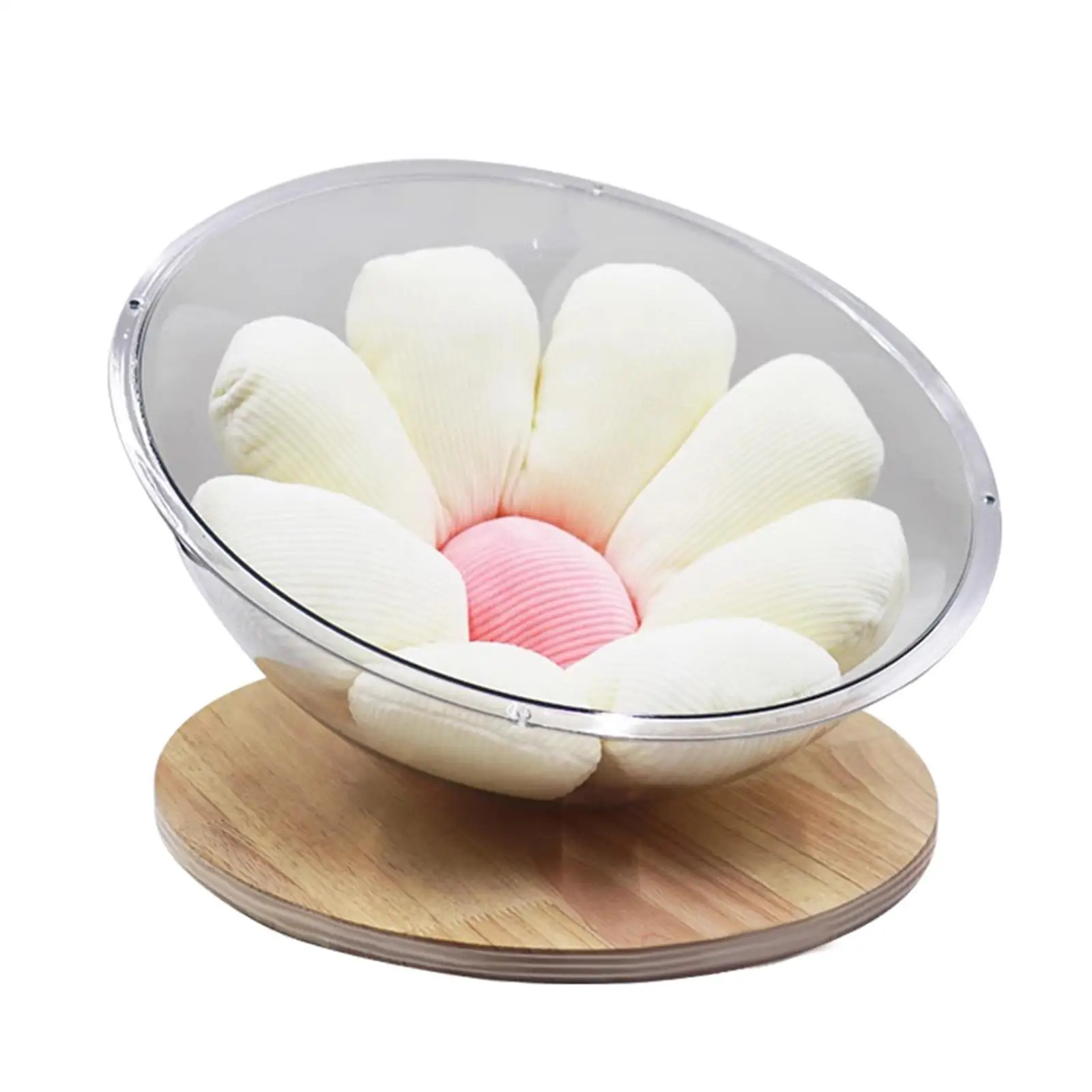 Современная акриловая кровать для кошек маленьких домашних