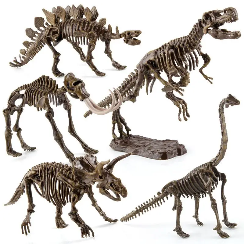

3D Biology Toy Simulation Dinosaur Excavation Fossil Archaeological Science DIY Assembly Kit Animal Skeleton Model Creative
