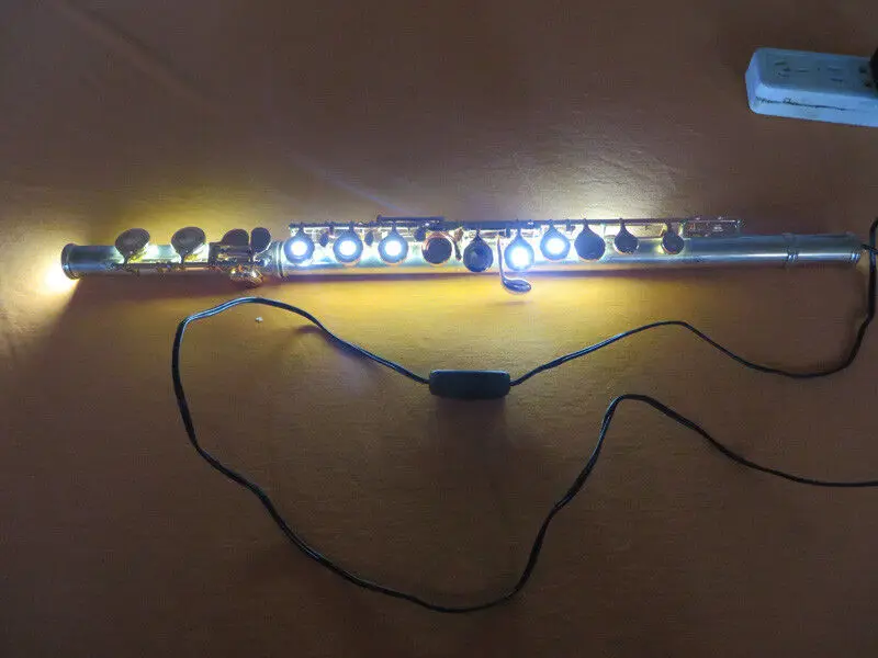 

saxophone Clarinet flute Oboe LED double-sided lamp detection tool 12V 45 cm