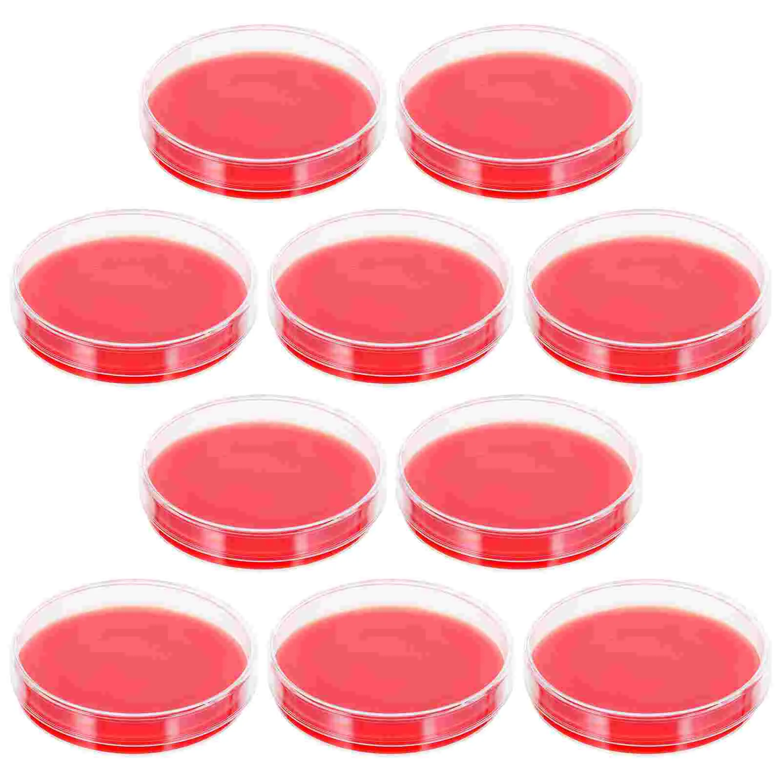 

Agar Petri Dishes Plates Medium Plate Dishlabs Science Culture Blood Sterile Growth Lids Project Prepouredkit Mushroom Fair
