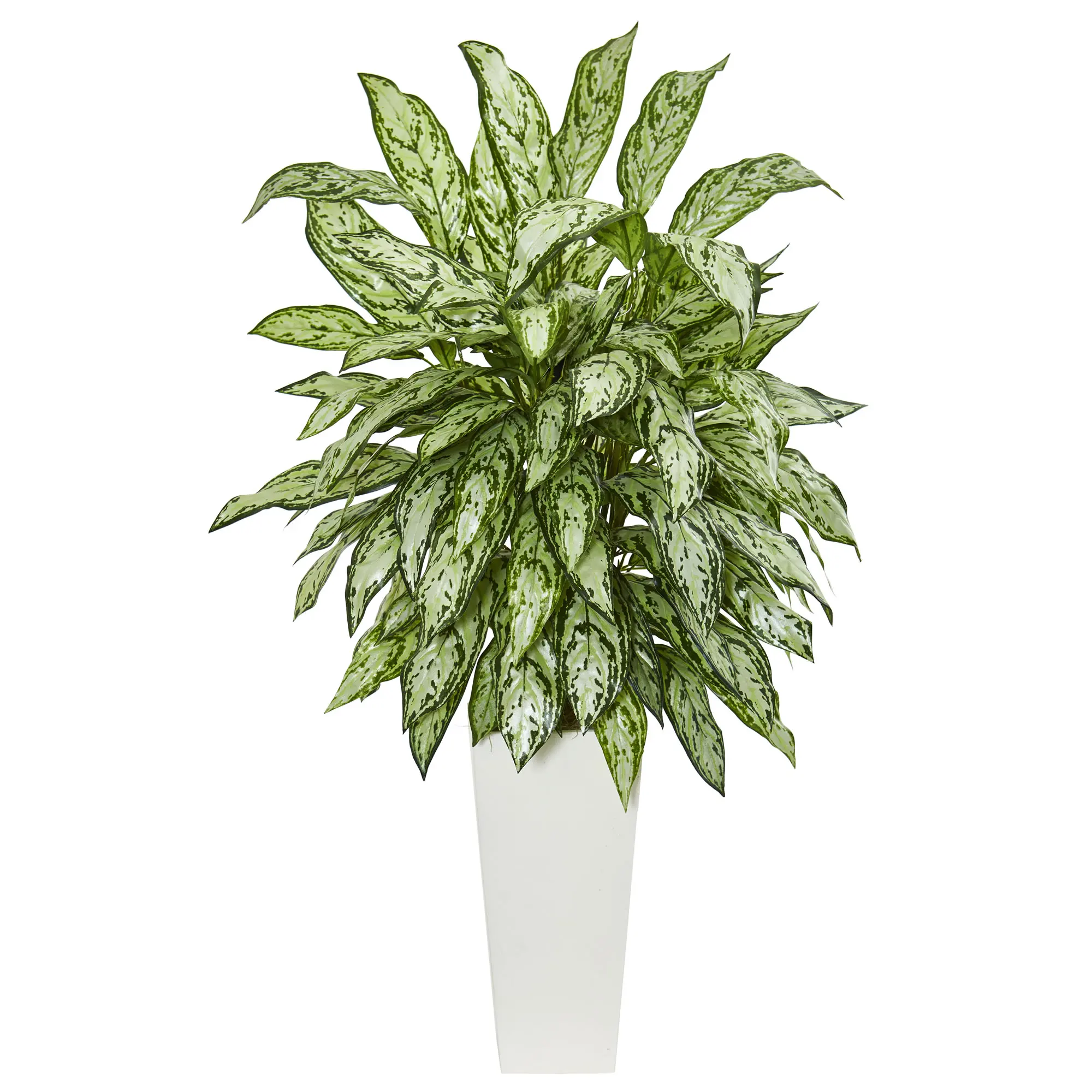 

43" Plastic/Polyester Silver Queen Artificial Plant in Planter, Green