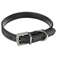 fashionable pet collar adjustable solid shining puppy pet collars dog collar cat collar