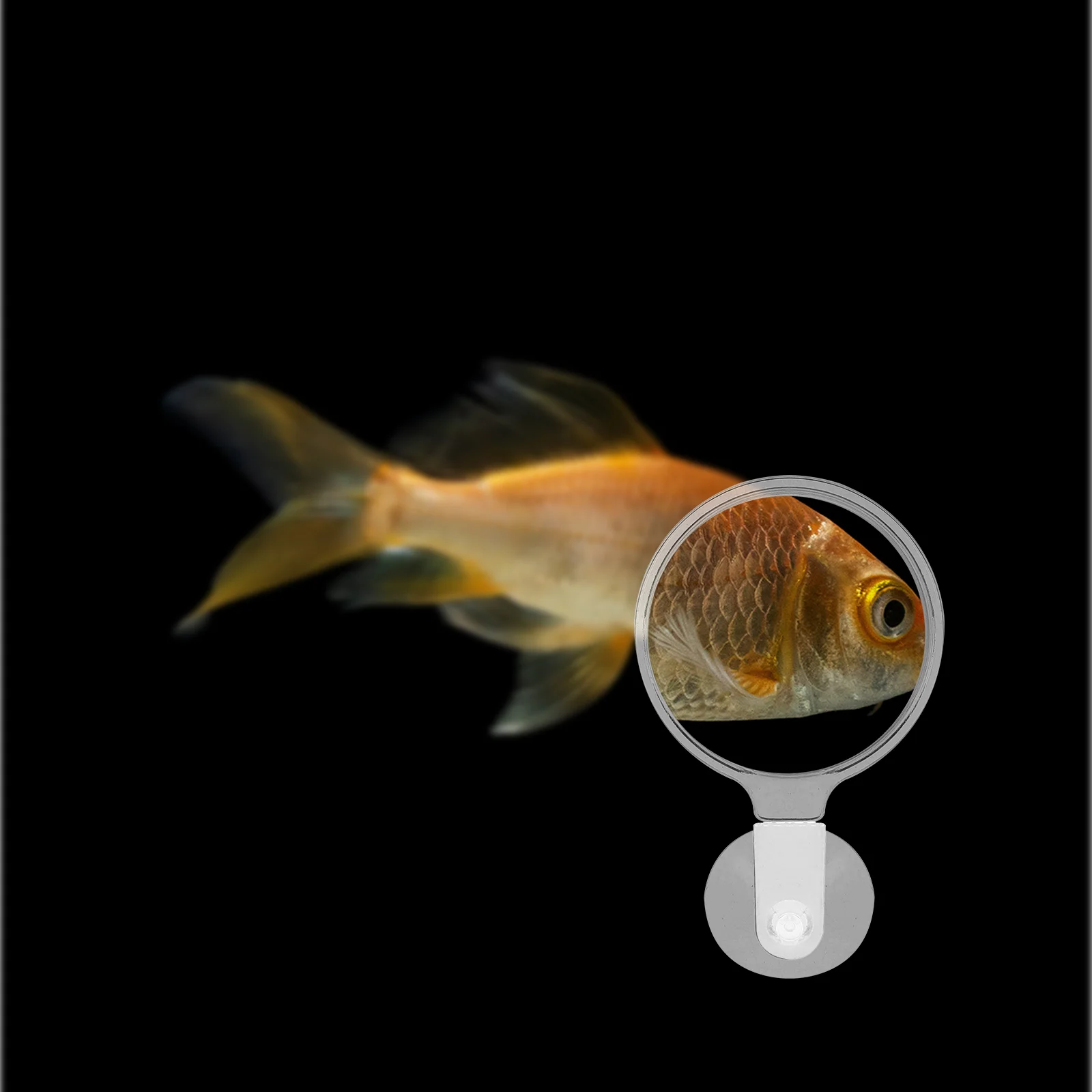 Увеличительное стекло для аквариума зеркало акриловая лупа Бетта растение