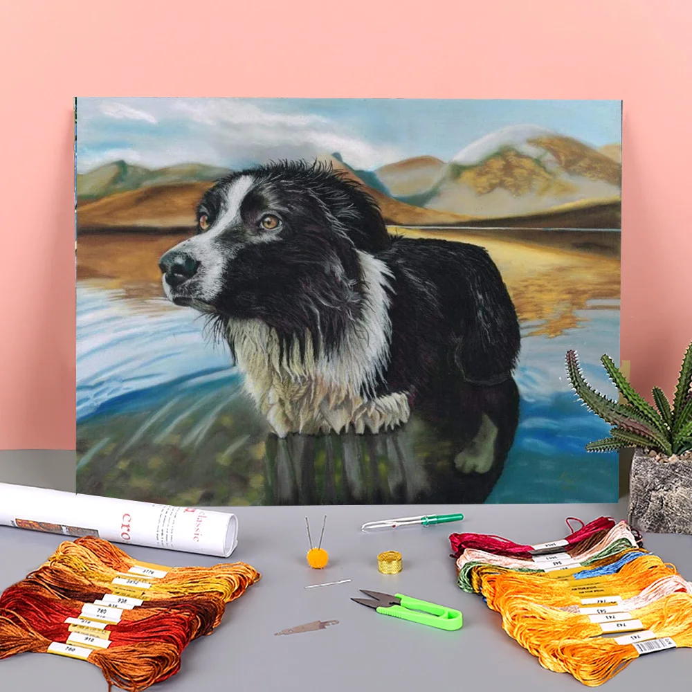 

Animal Border Collie Printed Canvas 11CT Cross Stitch Complete Kit Embroidery DMC Threads Painting Handicraft Adults
