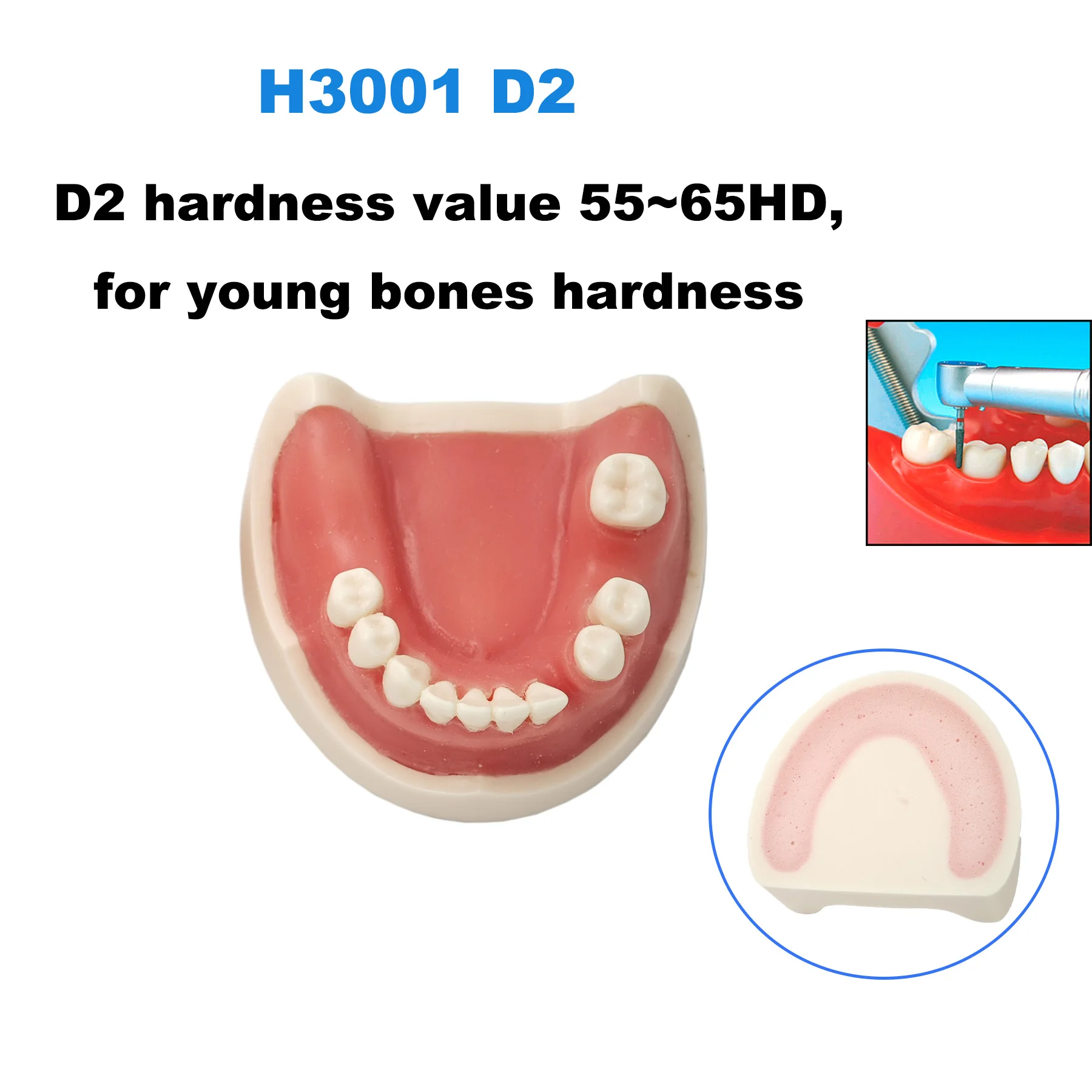 Модель зубного импланта модель для стоматологии тренировочный десен швы