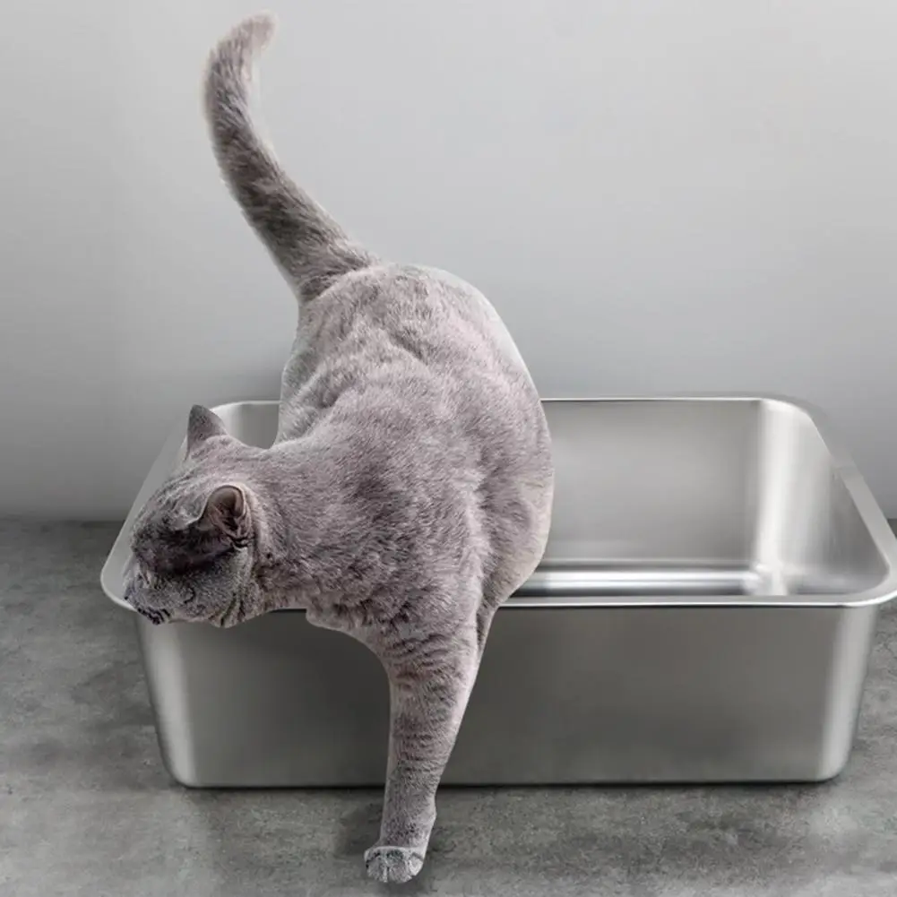 Durable Spacious Rectangle Stainless Steel Cat Litter Box Low Entry Open Design For Easy Access Pet