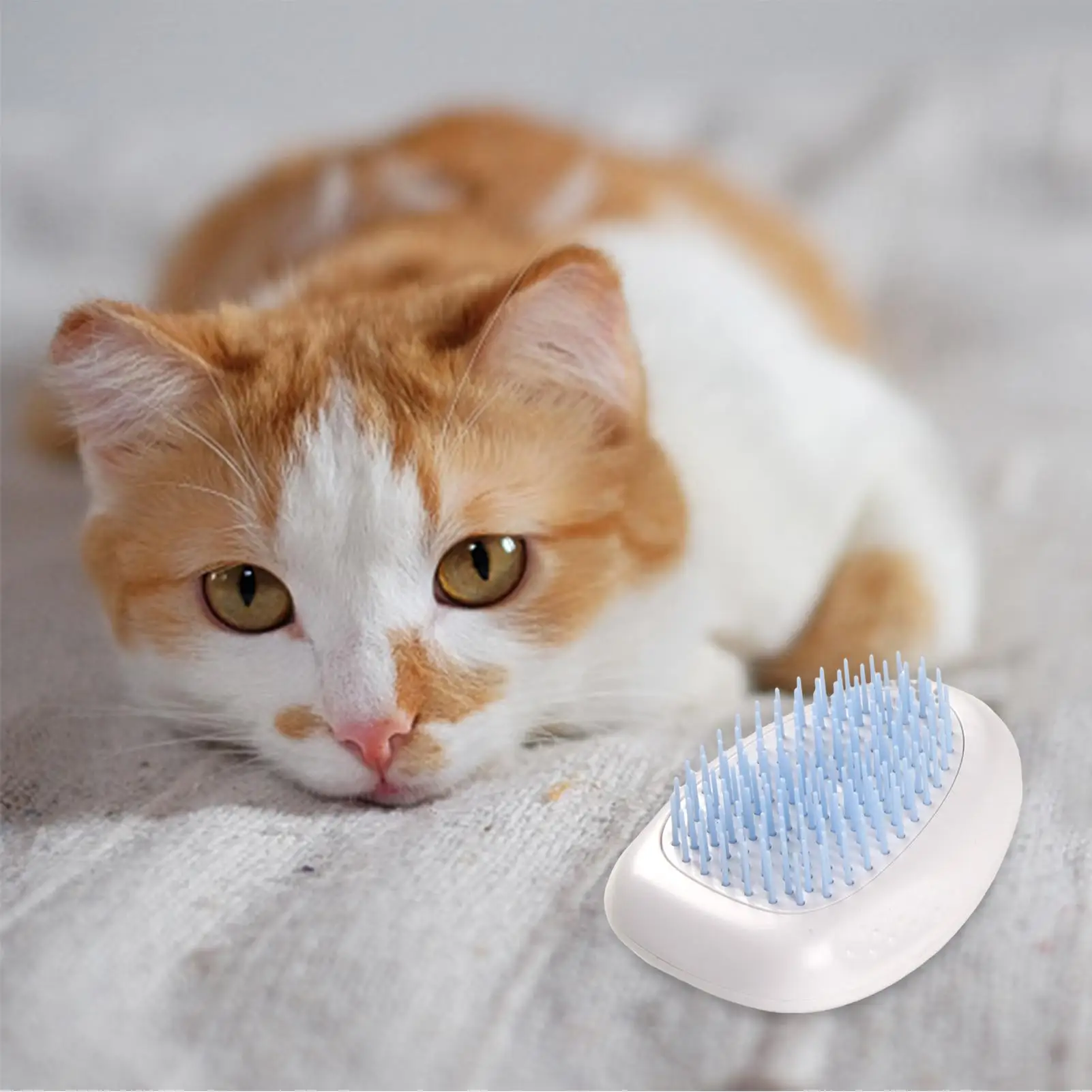 Cat Hair Brush Hair Remover For Cats Kittens Anti-Slip Cat Dog Grooming Supplies Professional Portable And Washable Fashionable