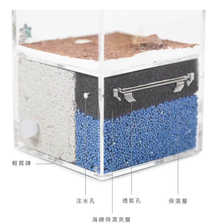 Смотровая коробка для формикариума акриловый дизайн муравьиные аксессуары