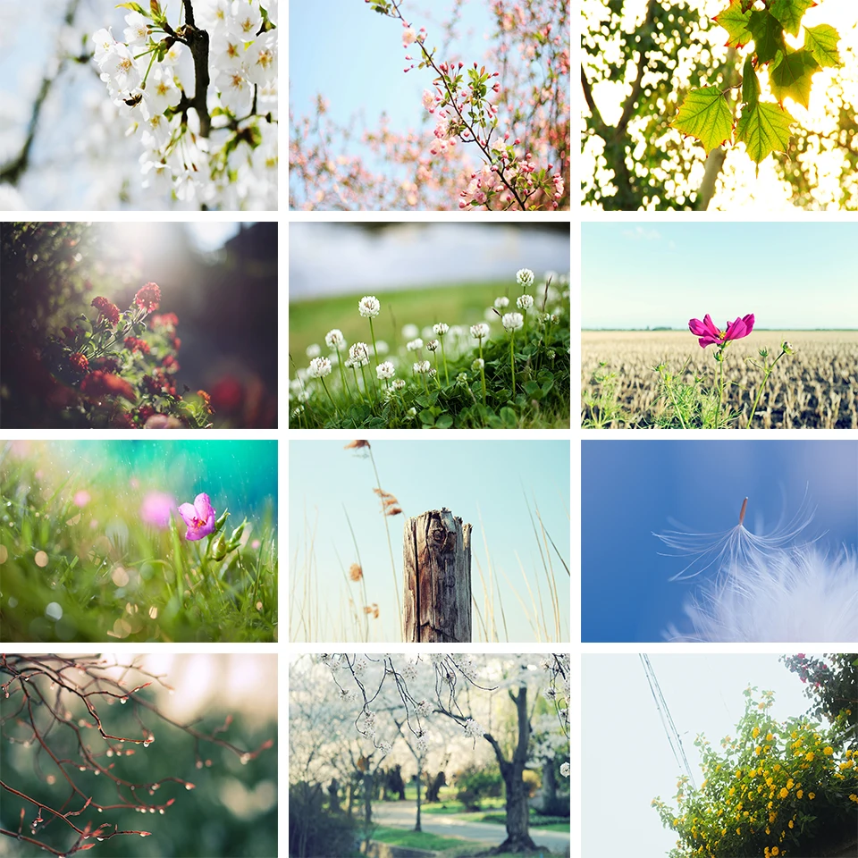 

Набор для алмазной вышивки стразы, картина с изображением весеннего пейзажа, мозаика из квадратных/круглых страз, 5D «сделай сам»