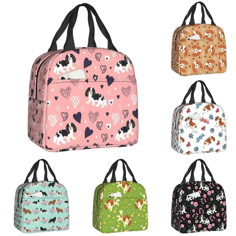 

Изолированный Ланч-бокс черного и белого цвета для любителей домашних животных