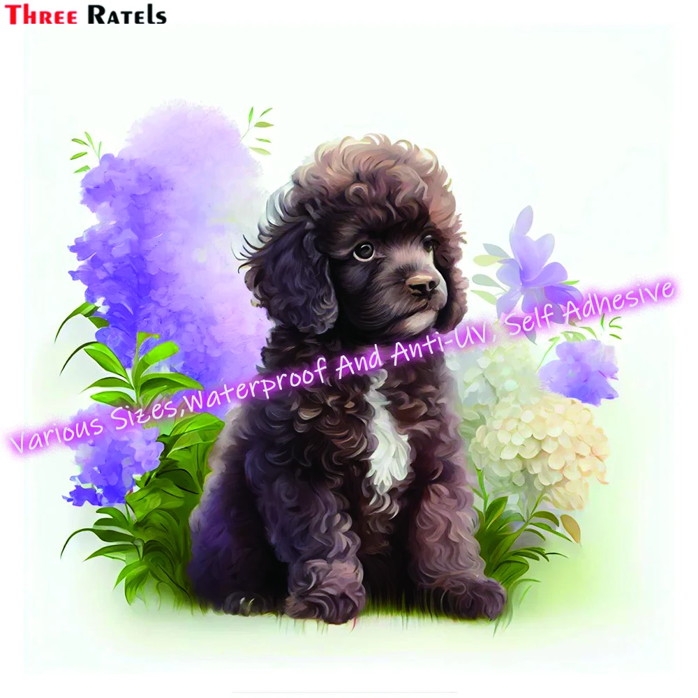 Пленка для защиты от царапин с защитой от воды