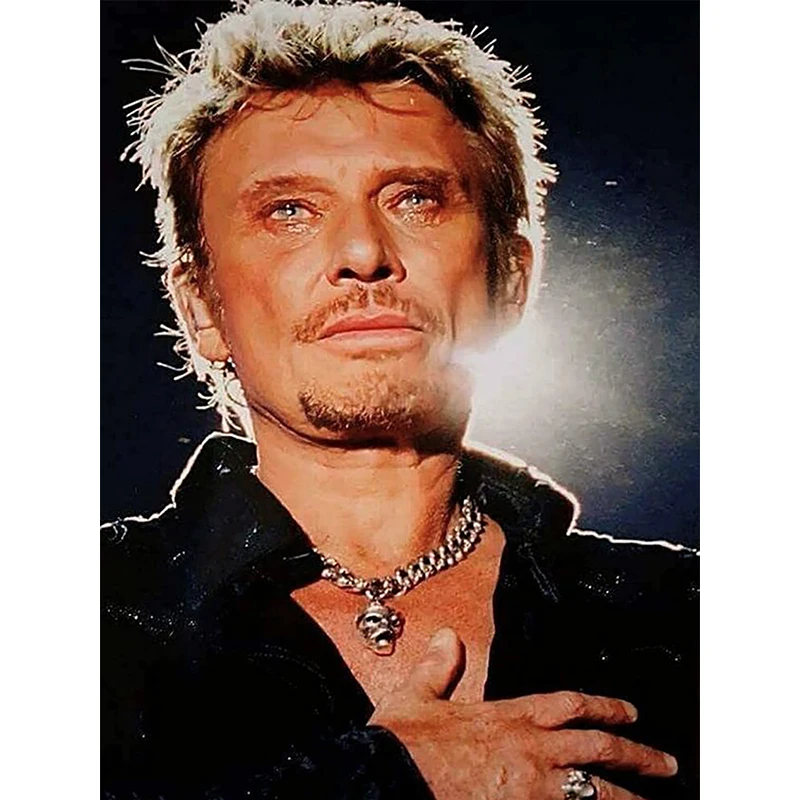 

5D diy diamond embroidery crystal square&round diamond sets decorative diy Johnny Hallyday diamond painting mountain witer LB2