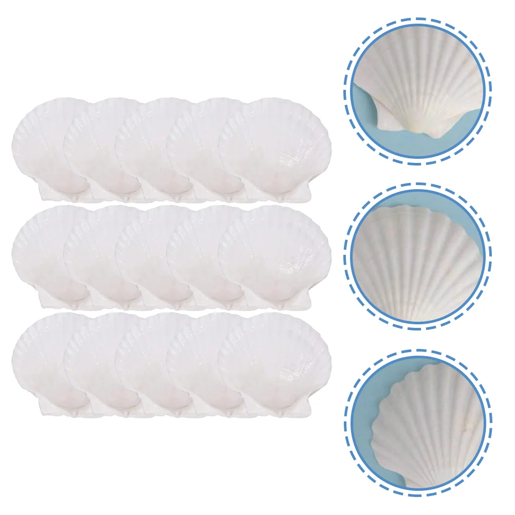 

15Pcs Tray Decorative Scallop DIY Crafts Ornament for Dinner Parties