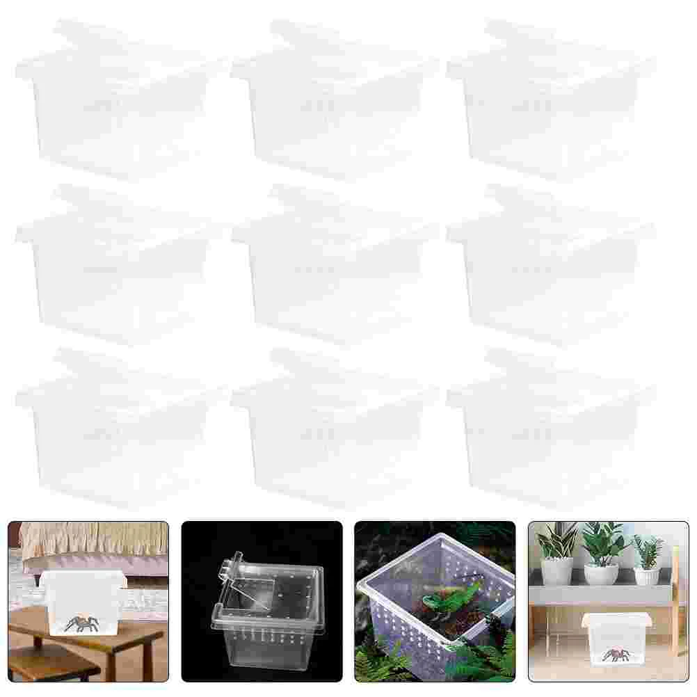 

10 Pcs Reptile Feeding Box Spider Terrarium Cases Plastic Animals Transparent Insect Habitat Terrariums Pet Containers Hole