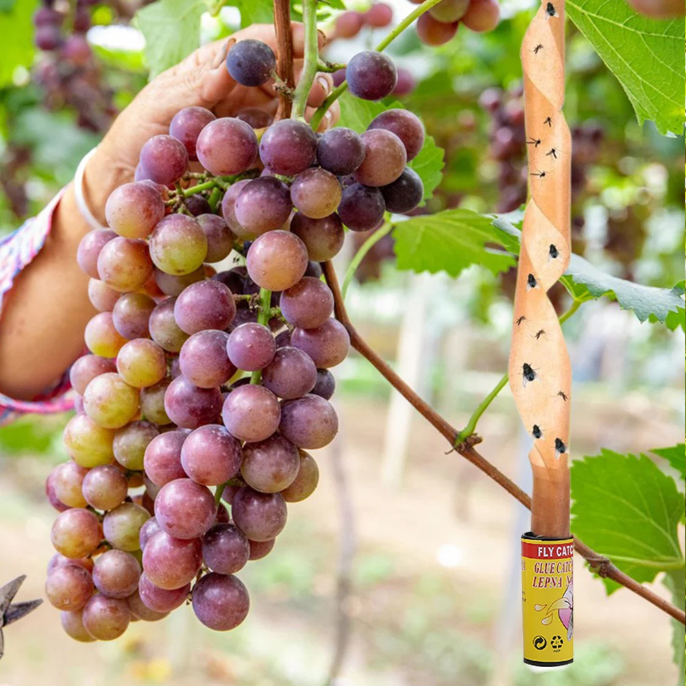 Липкие Бумажные Полоски Для Мух VKTECH — Прочные Ловушки Приманок Летающих