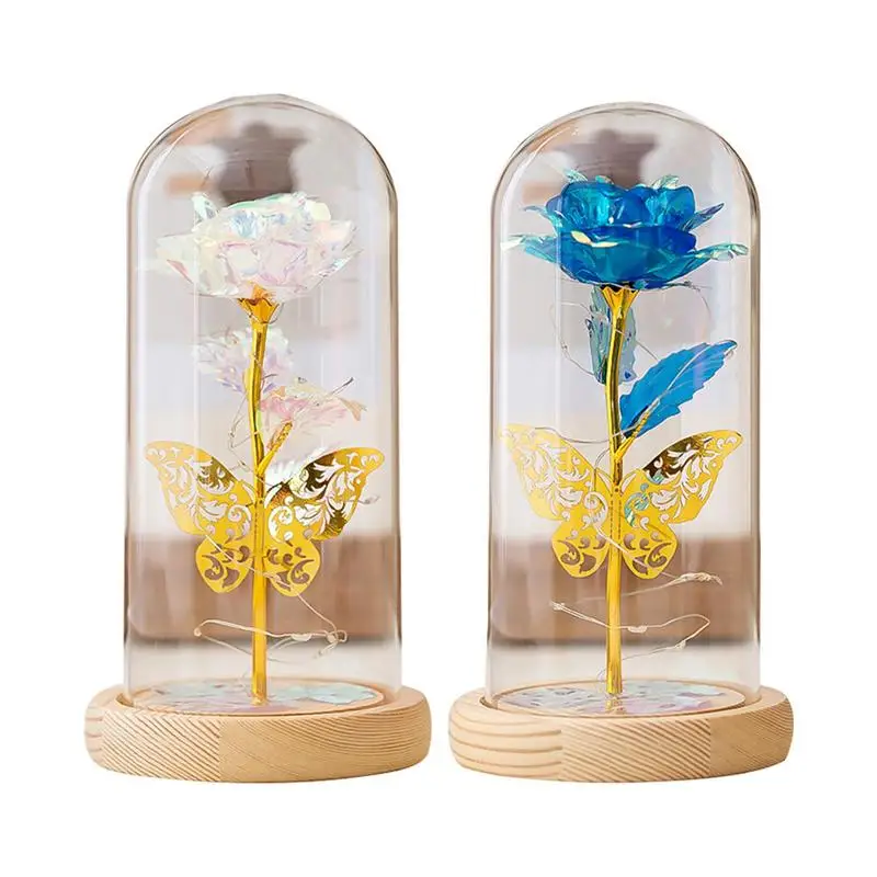 

Eternal Rose In Glass Shining Little Prince Preserved Fresh Rose In Glass Home Decor Flower With Fairy String Lights Home Decor