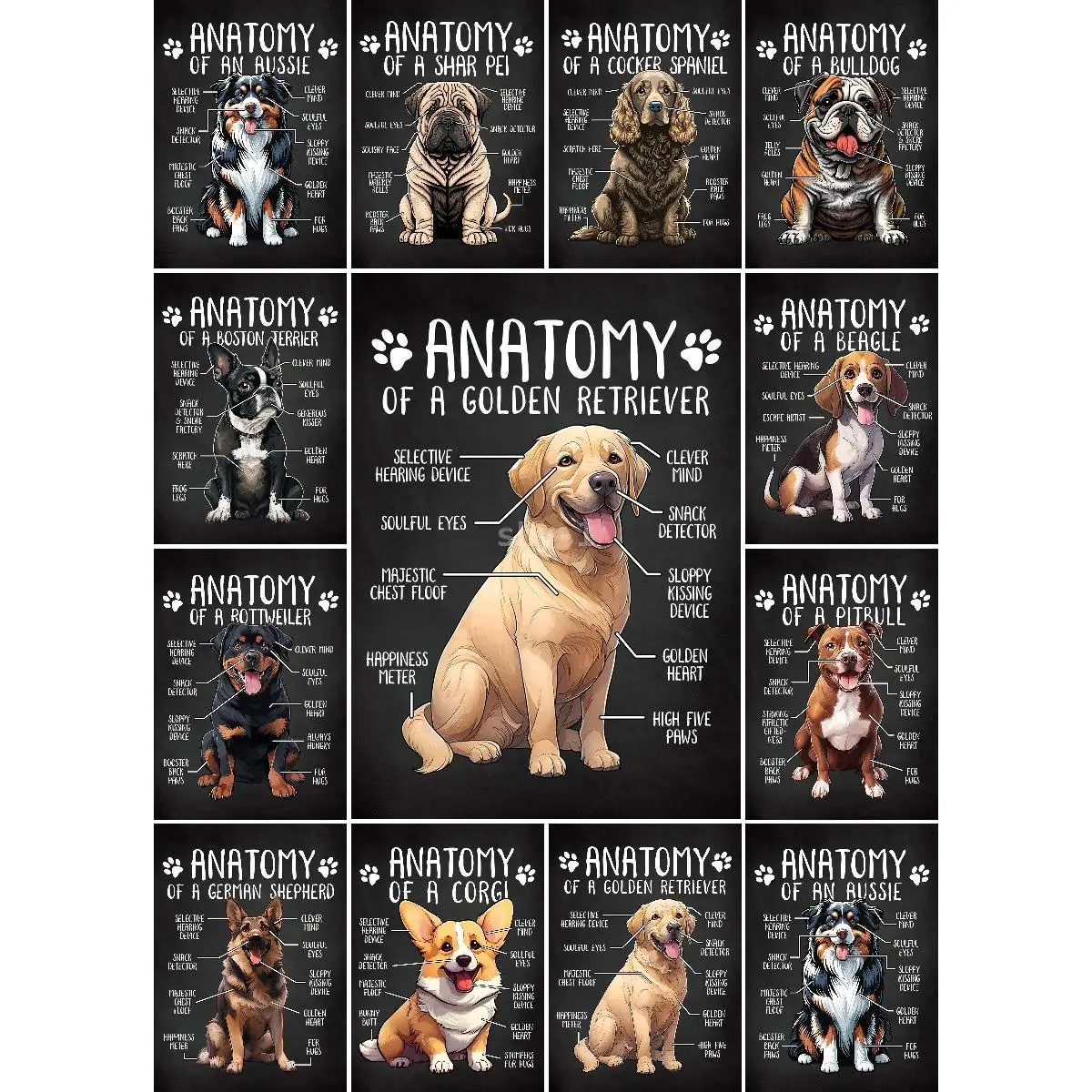 Коллекция милой культуры плакат с собакой в виде анатомии Шарпея художественный