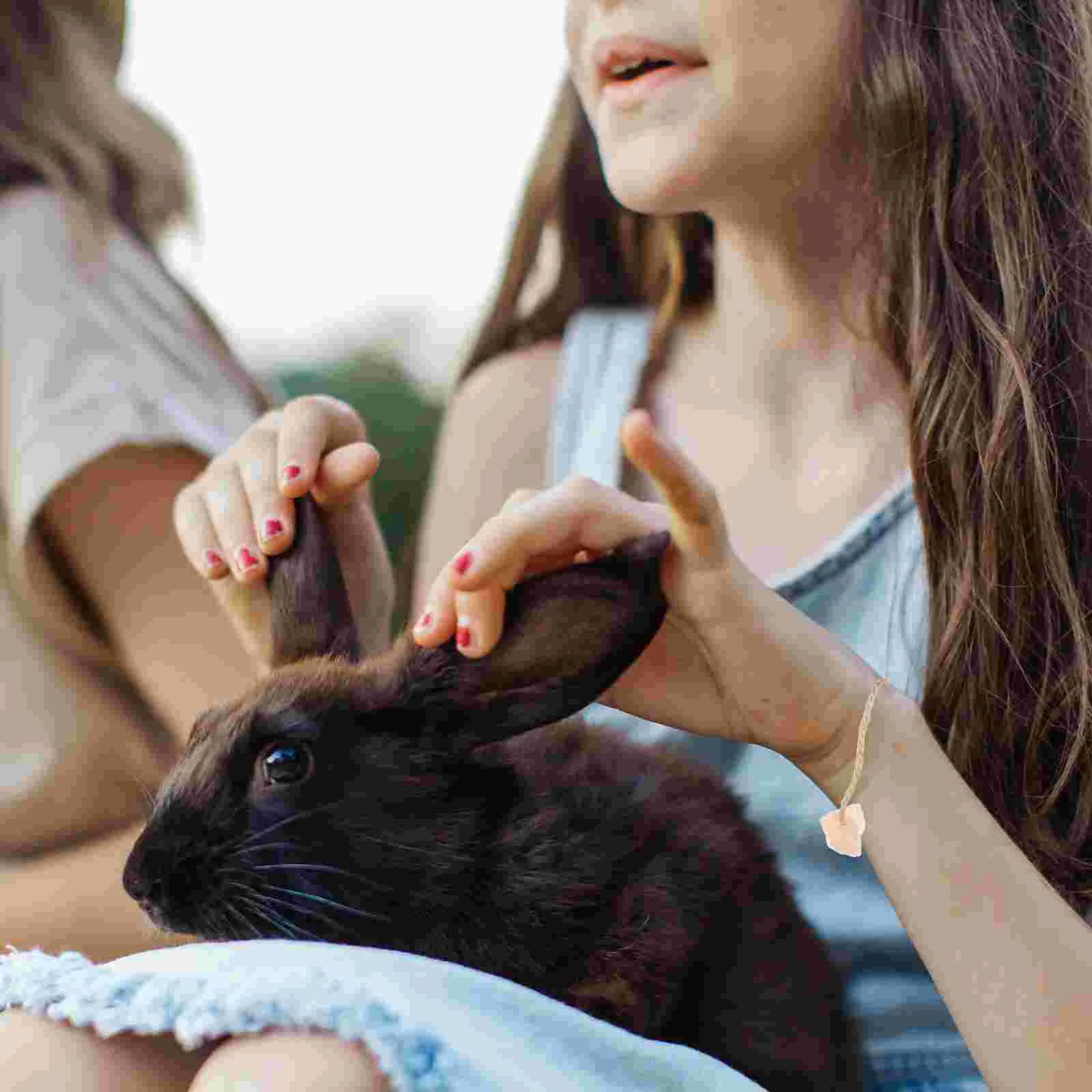 5 шт. животные лизание соль кристаллический блок домашних животных крупный