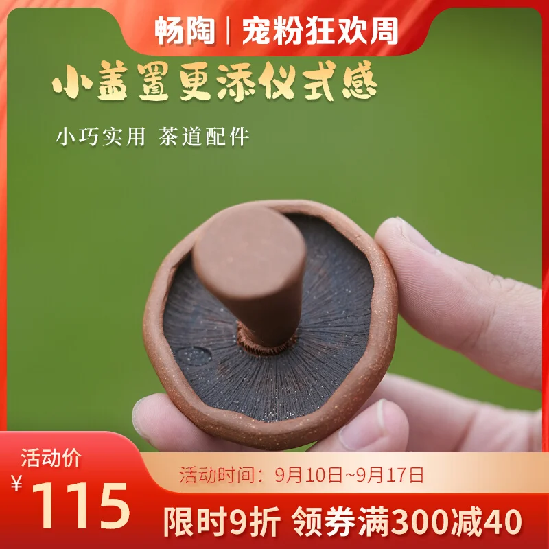 Ceremony Set Cover Mushroom Pet Play