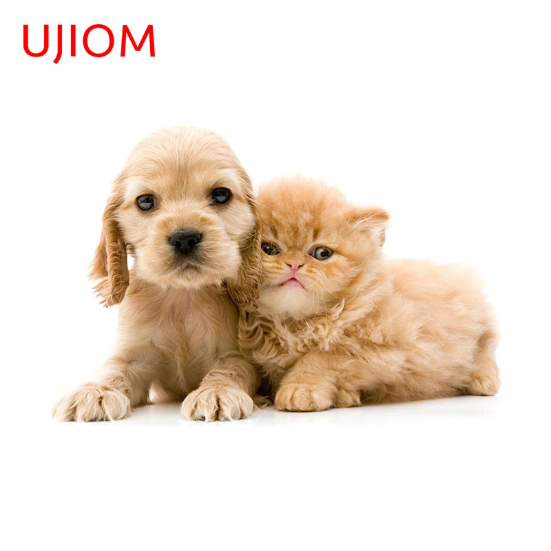 

UJIOM 13cm X 8.6cm Cartoon Dog Cat Decal Animals Graphics Wall Stickers Waterproof Living Room Bedside Personalized Illustration